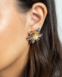 Well Established Whimsy - Multi